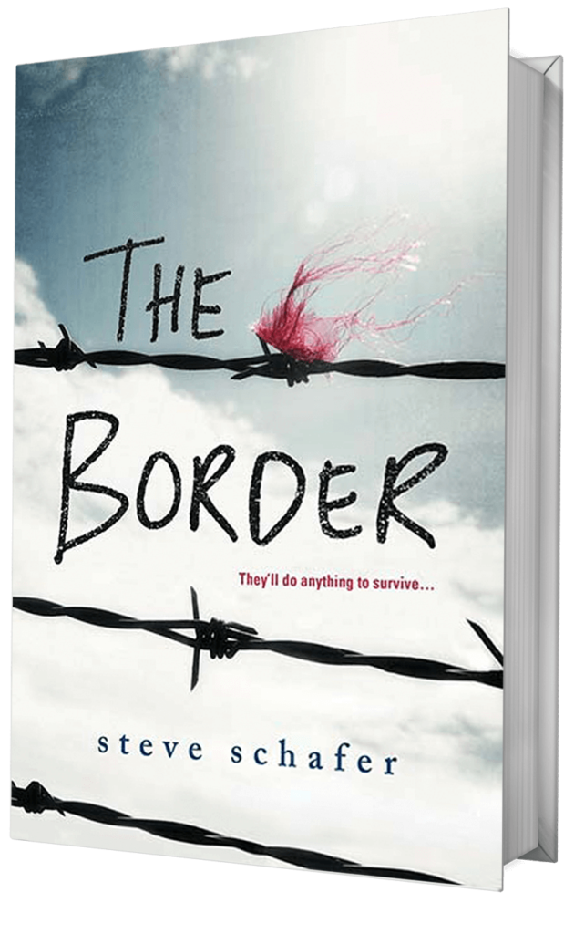 The Border Book By Steve